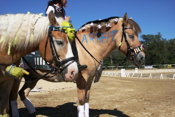 ...ein Nickerchen nach getaner "Arbeit"  &nbsp;  :-)