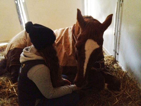 Mikey gut versorgt zwischen den Bewerben...