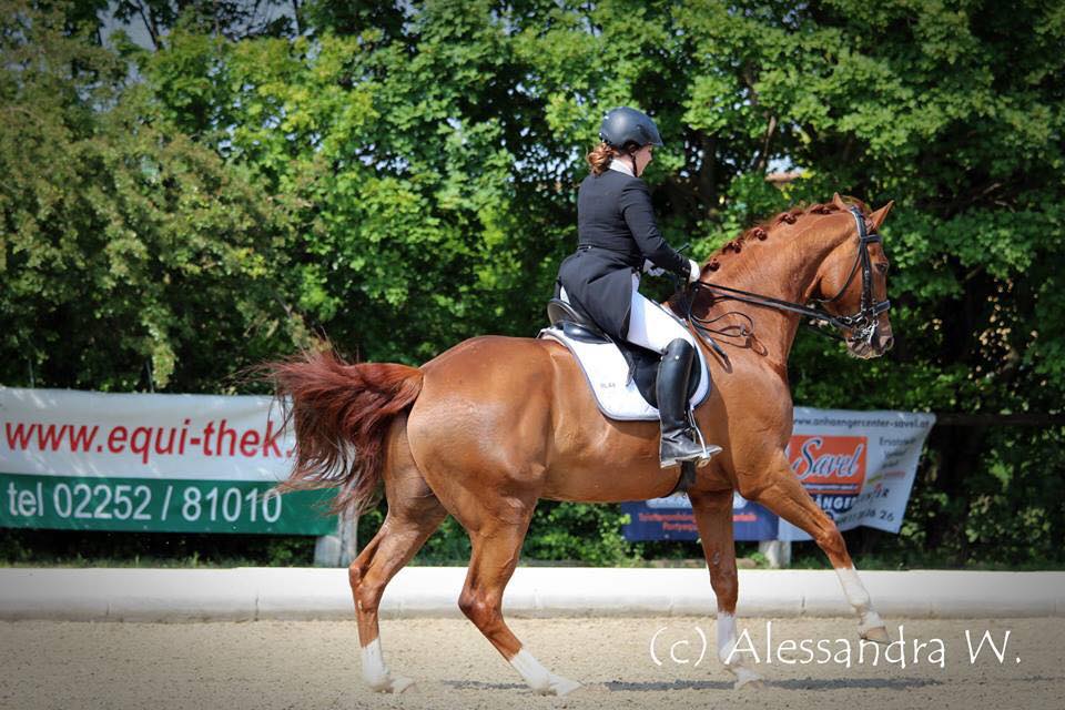 Marli Cermak Wr. Neudorf Mai 2015