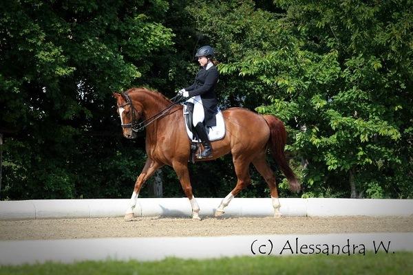 Marli Cermak, Reithof Gallbrunn