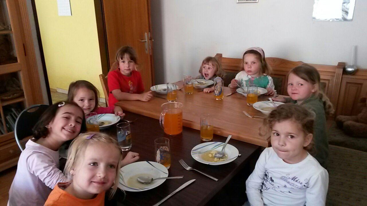 1. Leo - Stalltag Reithof Gallbrunn