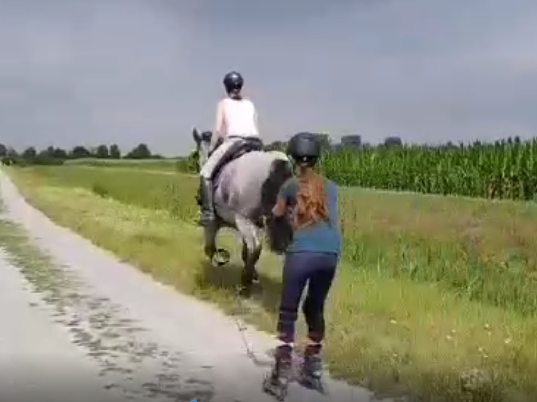 Isi, Estella & Babsi; Juli 2018