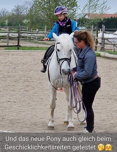 Willkommen neues Pony Valli