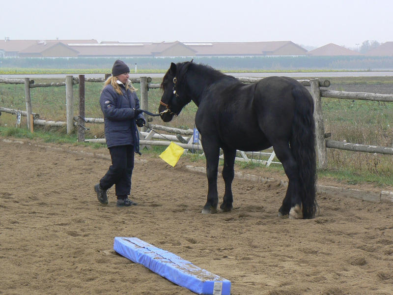 Bodenarbeit mit der Fahne